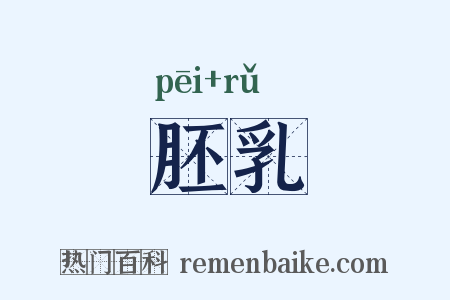 胚乳是什么意思的图片